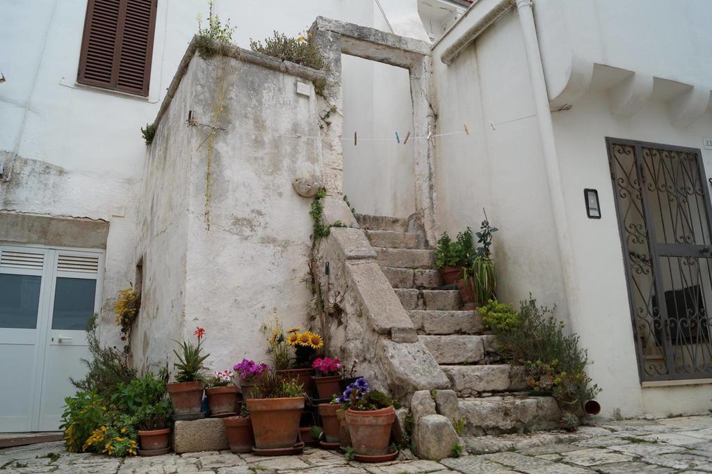 Agli Antichi Trulli B&B In Masseria Alberobello Exterior foto