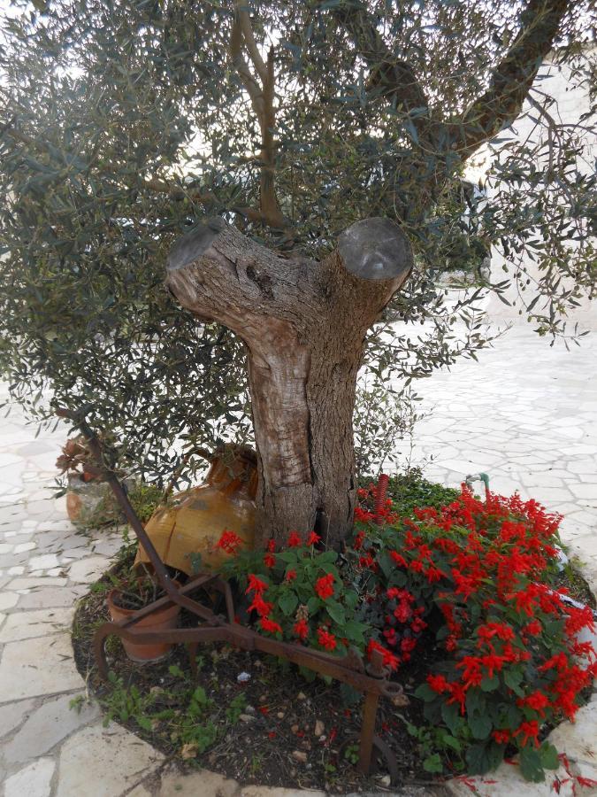 Agli Antichi Trulli B&B In Masseria Alberobello Exterior foto